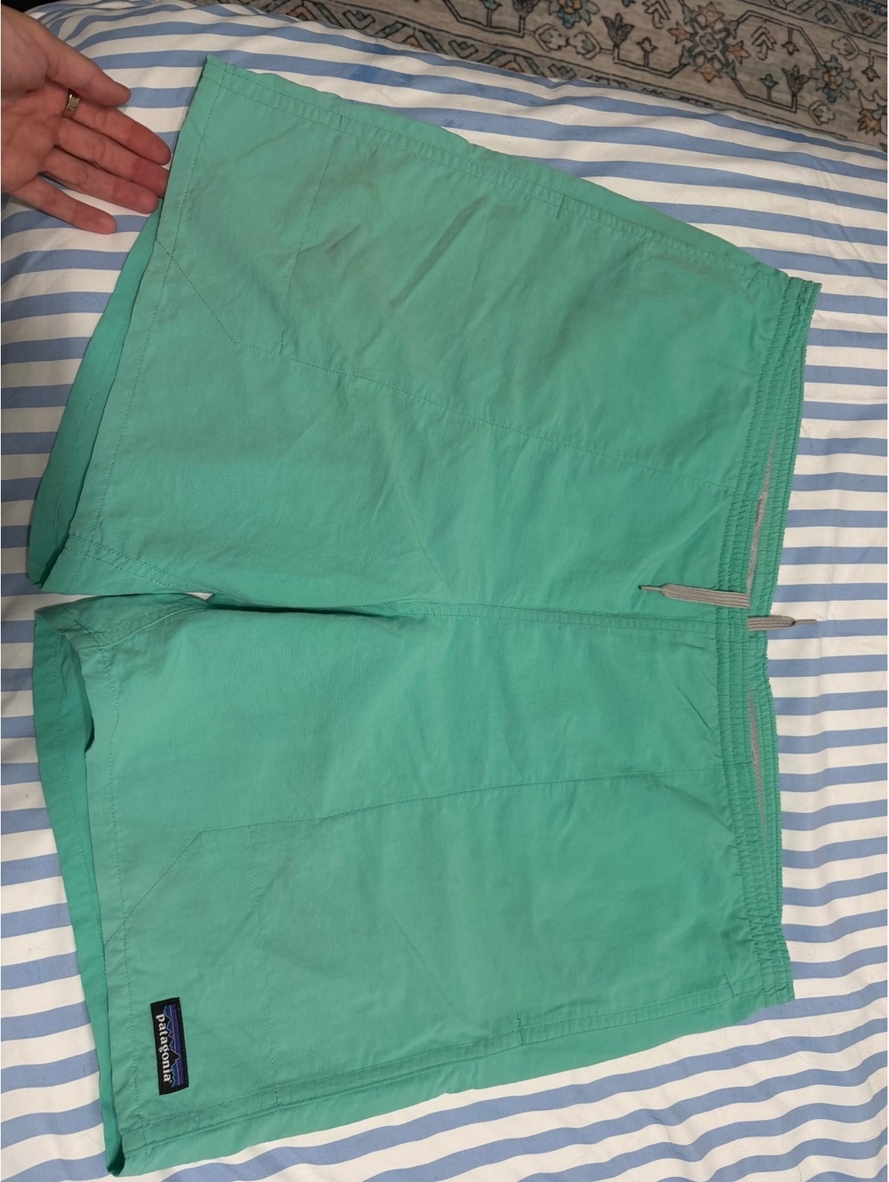 Patagonia Shorts Size Large